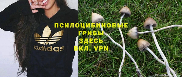 МДПВ Алексин