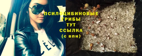 дживик Абинск