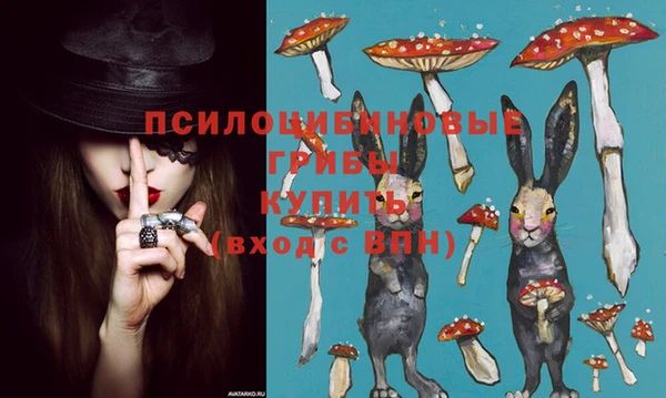 дживик Абинск