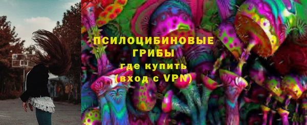 дживик Абинск